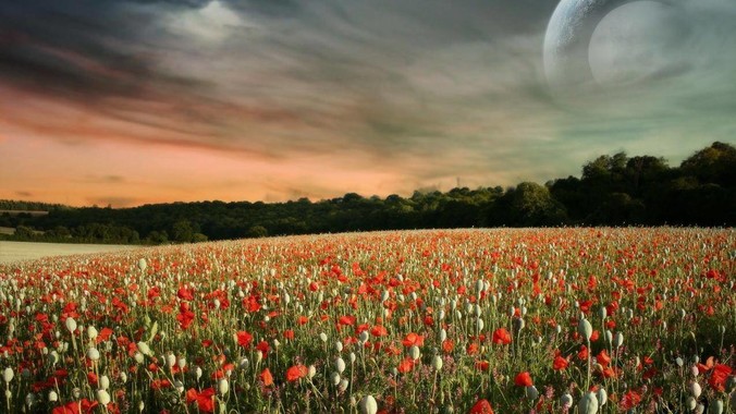 英特尔的衰落，是因为真正做事的工程师被挖了？还是公司战略出问题？